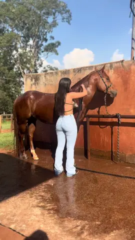 #cowboy #cowgirls #country #countrylife #cavalo #horse #fyp #fouryou #agro #lookinspiração #fypシ゚ 