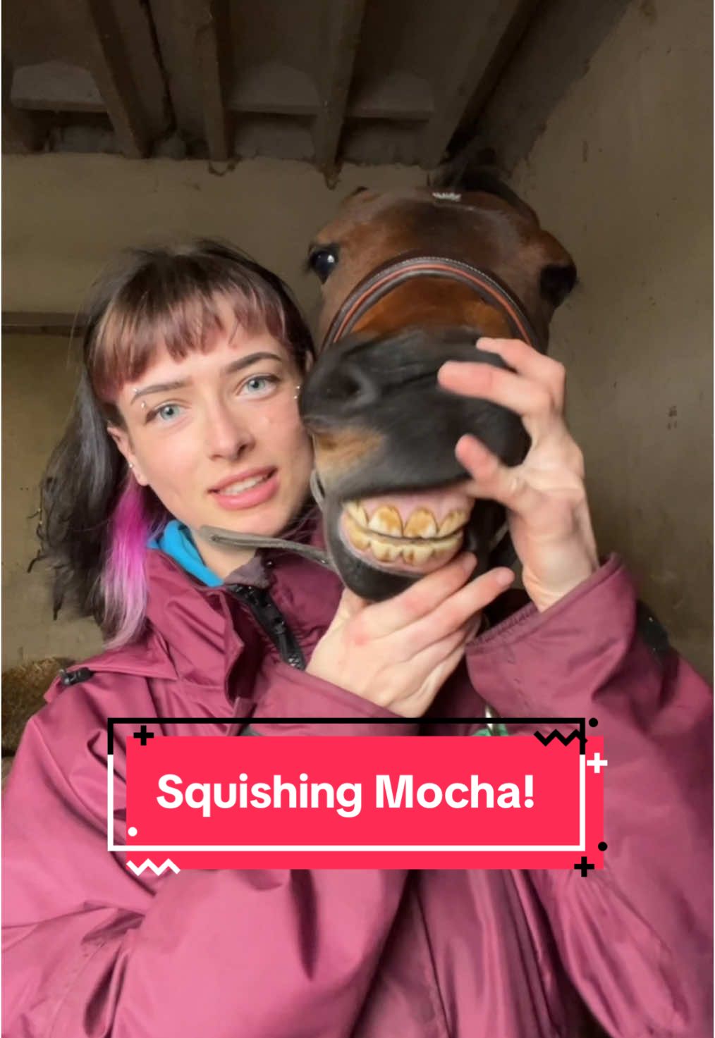 Mocha’s first ever squishies..they grow up so fast🥹🥹 #equestrian #equine #horsegirl #horsetok #horsesoftiktok #horsebackriding #equestrianlife #equestrianvibes #squish #ponysquish #squishies #fyp #foryou #abcxyz 