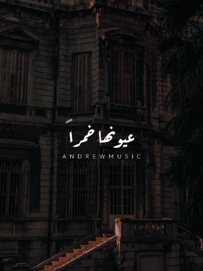 عيونها خمراً والقلب كاساً #اغاني #ال_زين #عيونها_خمرُ_والقلبي_كاسا #بسرح_في_عينك_السودة #musica #تصميمي #رومانسي #fyp #ستوريات #video_editor #تصميم_فيديوهات🎶🎤🎬 