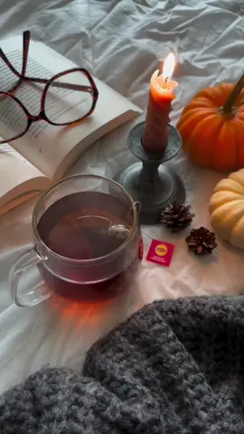 Chilly days call for a good book read by candlelight, paired with cozy blankets and the perfect cup of Lipton Tea 🍂✨ Embrace the comfort of the season and make every sip special. How do you create your tea moments? ☕ 📸 @ainsivafanny on IG