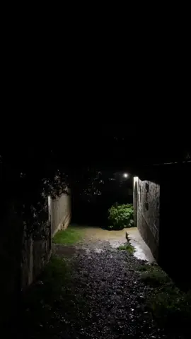 Asennan deg ul  yenta  Idh ameggaz , tirga yelhan ❤️ Bonne et douce nuit  .  #kabylesdeparis♓️ #kabylie #algerien #kabylie_kabylia♓♓♓ #naturel #natur #bejaia #tiziouzou #montain #idurar #kabyle #citationdujour 