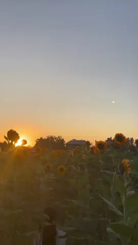 Aquí Estas #AquiEstas #WayMaker #Adoracion  #Tevemosmover #Diosmilagroso #MusicaCristiana  #ChristianMusic  #EspírituSanto  #HolySpirit  #BenditoJesus #MundoCristiano