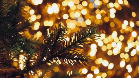 are you waiting? soon  #cinematic #fyp #aesthetic #filmmaker #christmas #newyear #tree 