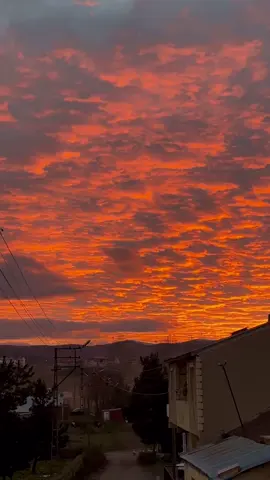 Asla Kaybettiğinizi düşünmeyin!.. #motivasyonvideolari #motivasyon #motivationalquotes #motivation #reels 