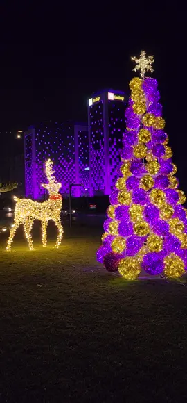 🩵🩵الكنك 🩵🩵#قطنايتي 🩵🩵#طلعاتي_وتصويري 🩵🩵#اربيل_العراق_كوردستان 🩵🩵#الشعب_الصيني_ماله_حل 🩵🩵#شتاء_البرد_اجواء_شتويه 🩵🩵