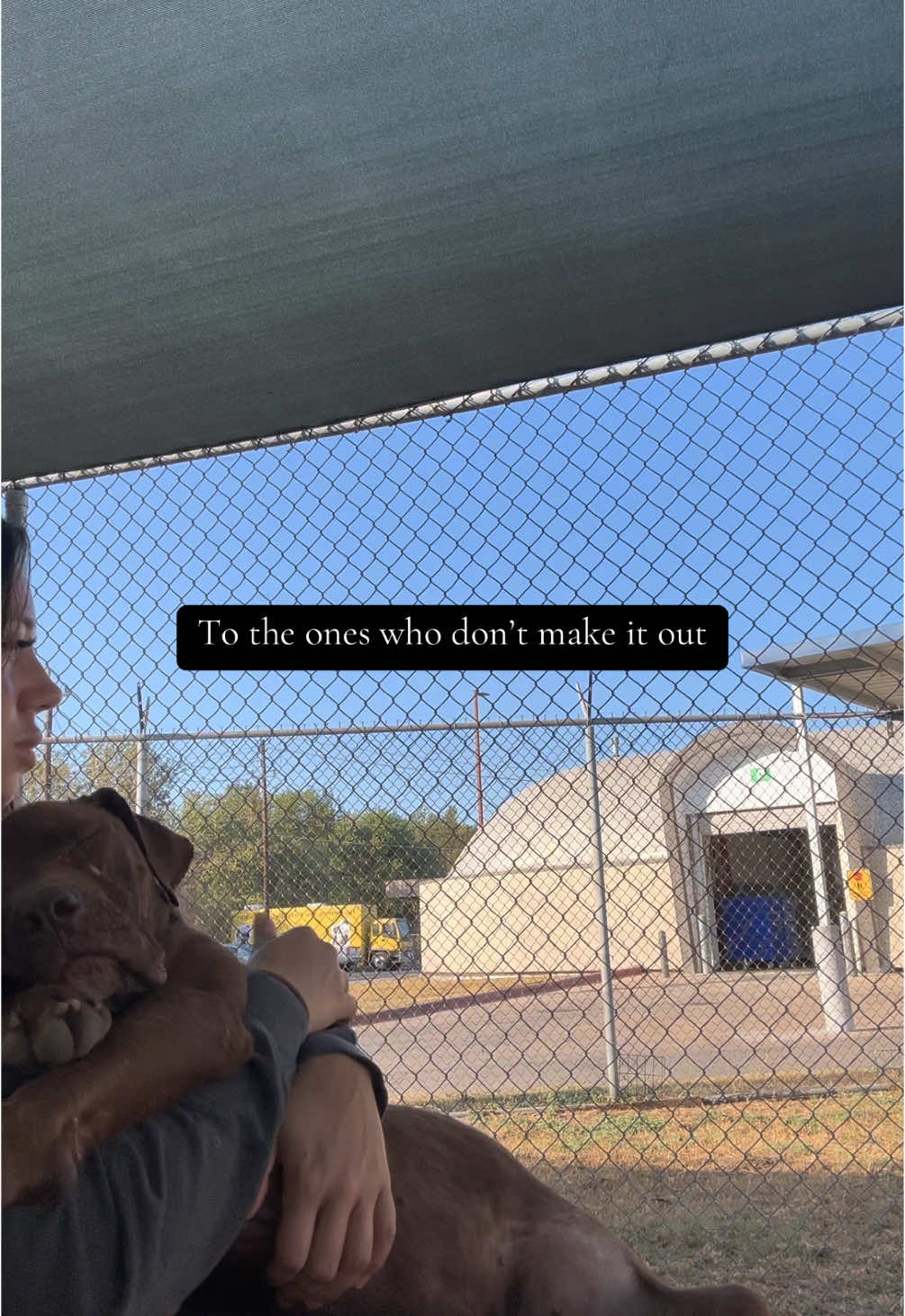 Shelters euthanize every single day. Its a sad reality volunteers have to face, because no matter how badly we want our favorite dogs to make it out its impossible to save them all. Its not the shelters fault people decide one day they no longer want their pet, or whatever other reason there is. Theres no miracle sanctuary thats going to save all of these dogs. Its up to us as a community to be responsible for our pets and make better choices. The abuse we see every single day is not even something you can put into words, its something most people truly believe isnt even happening. The amount of emaciated dogs we see is unbelievable. They all deserve better than this and we need to hold ourselves, our friends and family accountable for how they treat animals.  *please remember I am a shelter volunteer, I do not own the shelter or who control over the euthanasia list.  #shelterdog #adoptdontshop #volunteer 