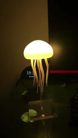 #luminaria#aguaviva#shopee