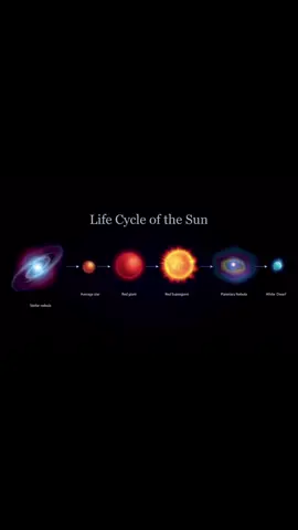This is the life cycle of a sun. From it’s formation as a nebula all the way through a billion year process to a white dwarf. #sun #cosmos #universe 