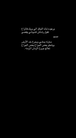 تقول رشاش لشيباني 🤍 #الشيابين_الدهاه #511 #4u #fyp #خالد_البريك #نجد #نياق🐪#epep 