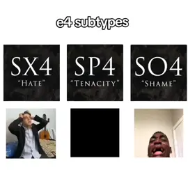 sp4 looks so sigma #typologytok #typology #eneagrama #e4 #mbti 