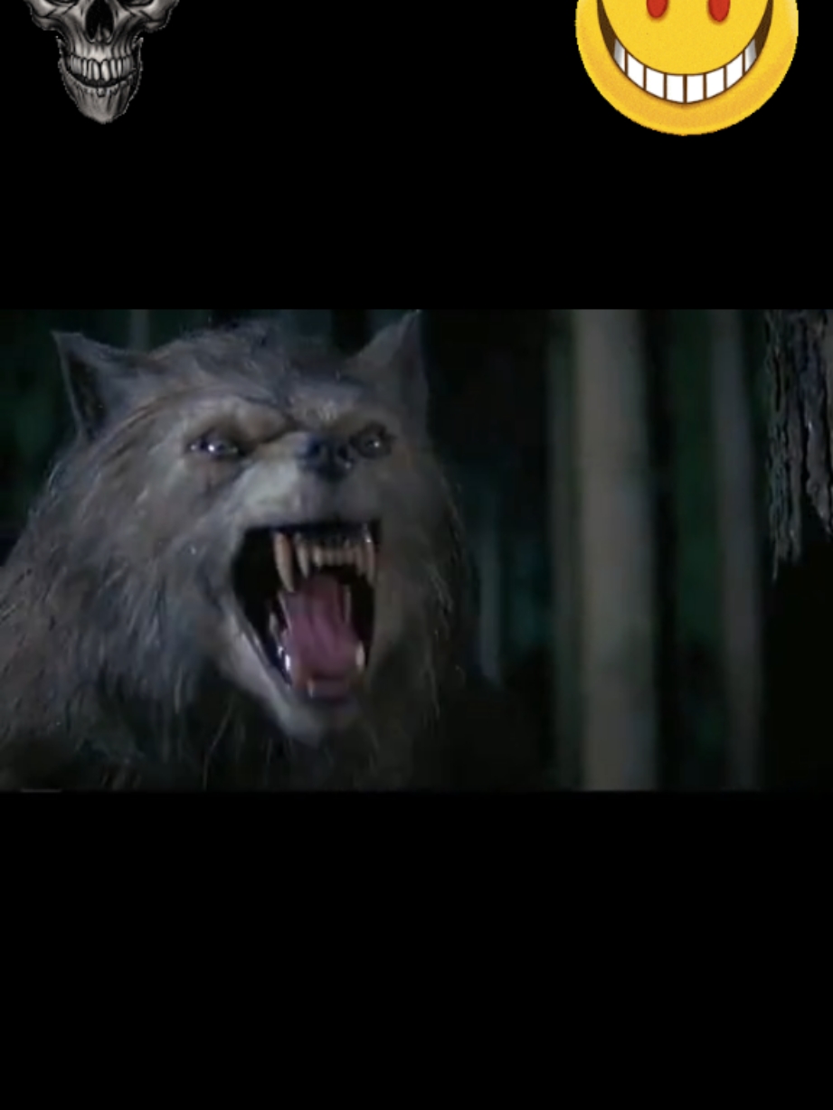 o filme mais assustador de lobisomem até hj ao fizeram um melhor 😱😱😱😱😱😱😱😱😱😬😬😬😬😬😬😬 #terro #terror ##terrorifico #terrorsobrenatural #terrortiktok #horro #horrortok #horrorstory #horrormovie #horrormovie #horrorgame #sobrenatural #fenomeno #paranormal #demonio #espirito #cenasdefilme #movie #top10 ##trechosdefilmes #filme #bruxa #trechosdefilmes #lobisomem #fyyyyyyyyyyyyyyyy #cinema 