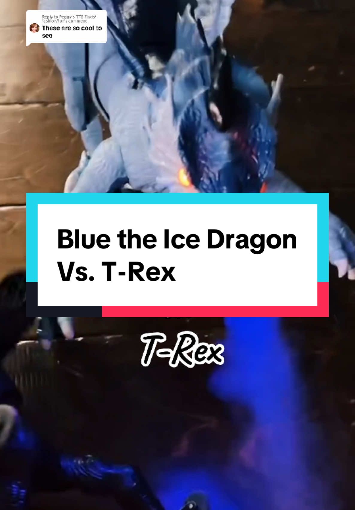 Replying to @Peggy’s TTS Finds/fashion/fun #remotecontroltoy #kidstoys #dinosaurs #dragons #holidayhaul #christmasgifts 