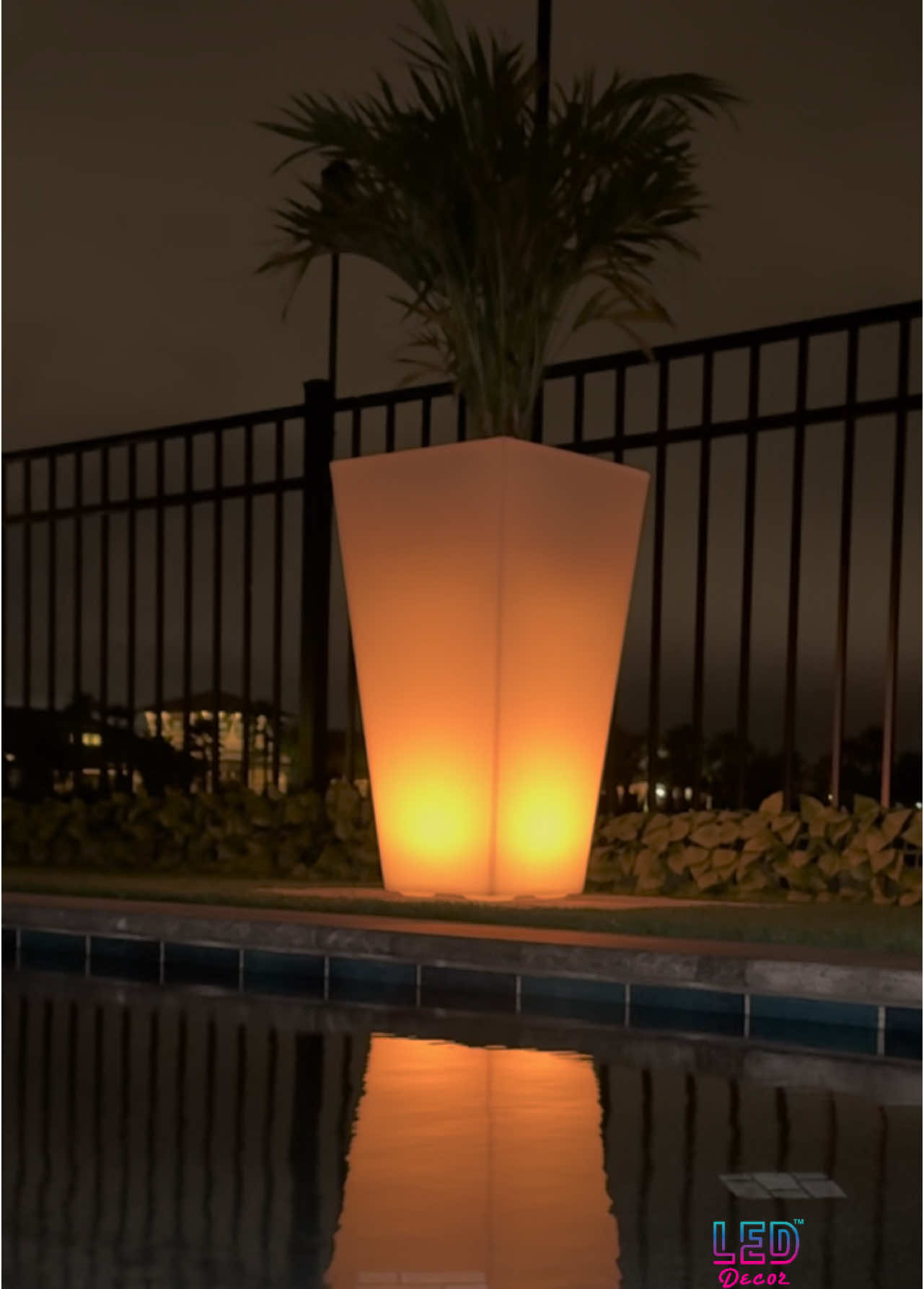 Nuestro LED Lighted Vase listo para iluminar tus plantas. #led #ledproducts #leddecoration #ledlights #sale #rent #delivery #shipping #kissimmee #orlando #davenport #lakenona #saintcloud #miami 