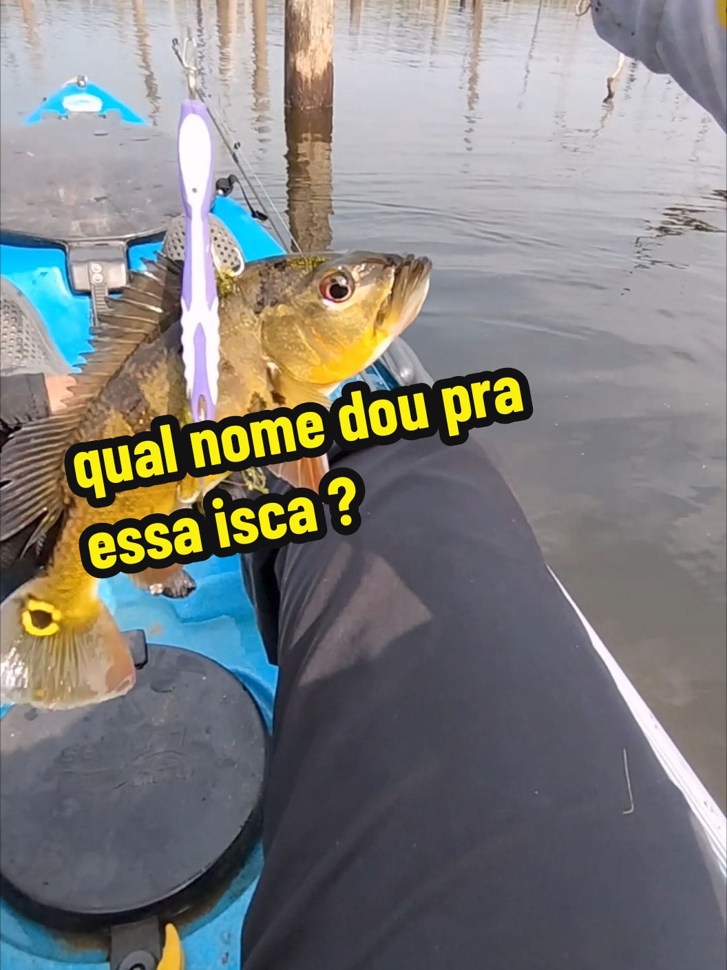 #pescador #alagado #peixe #pescaria isca escova de dente 