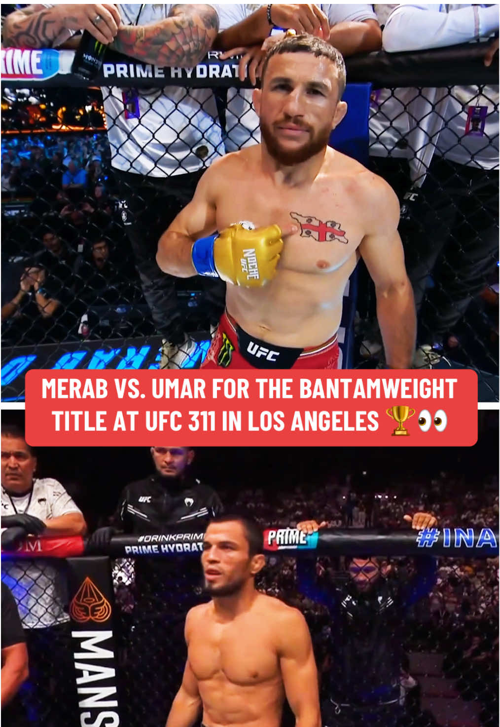 #MerabDvalishvili will face #UmarNurmagomedov for the bantamweight title at #UFC311 in #LosAngeles, #DanaWhite announced. #UFC #MMA #combatsports #champion 
