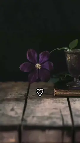 Quiero cantar una linda canción  Marcos Witt 💽🎶 #alabanza_cristiana #Diosteama #fypviralシ 