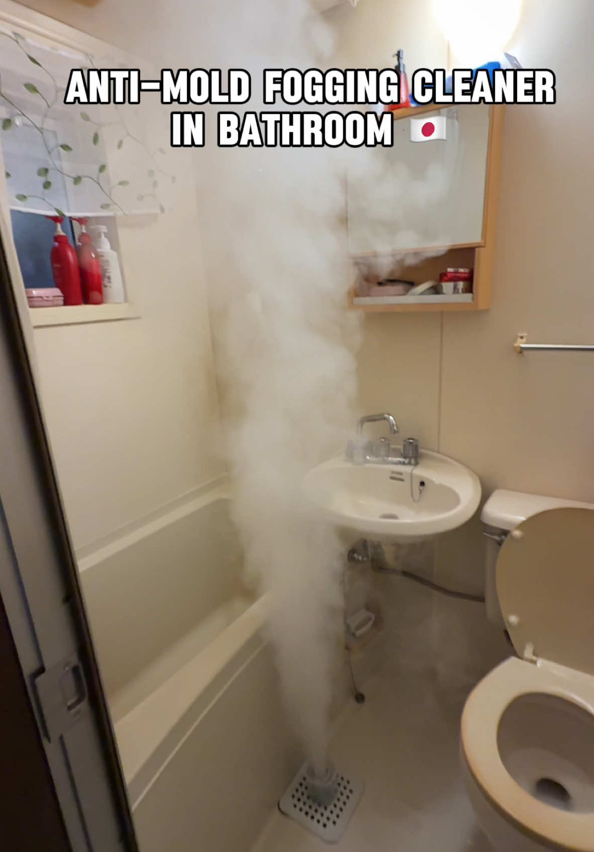 Trying this mold cleaner in Japan 🇯🇵  #fyp #cleaningtips @highlight