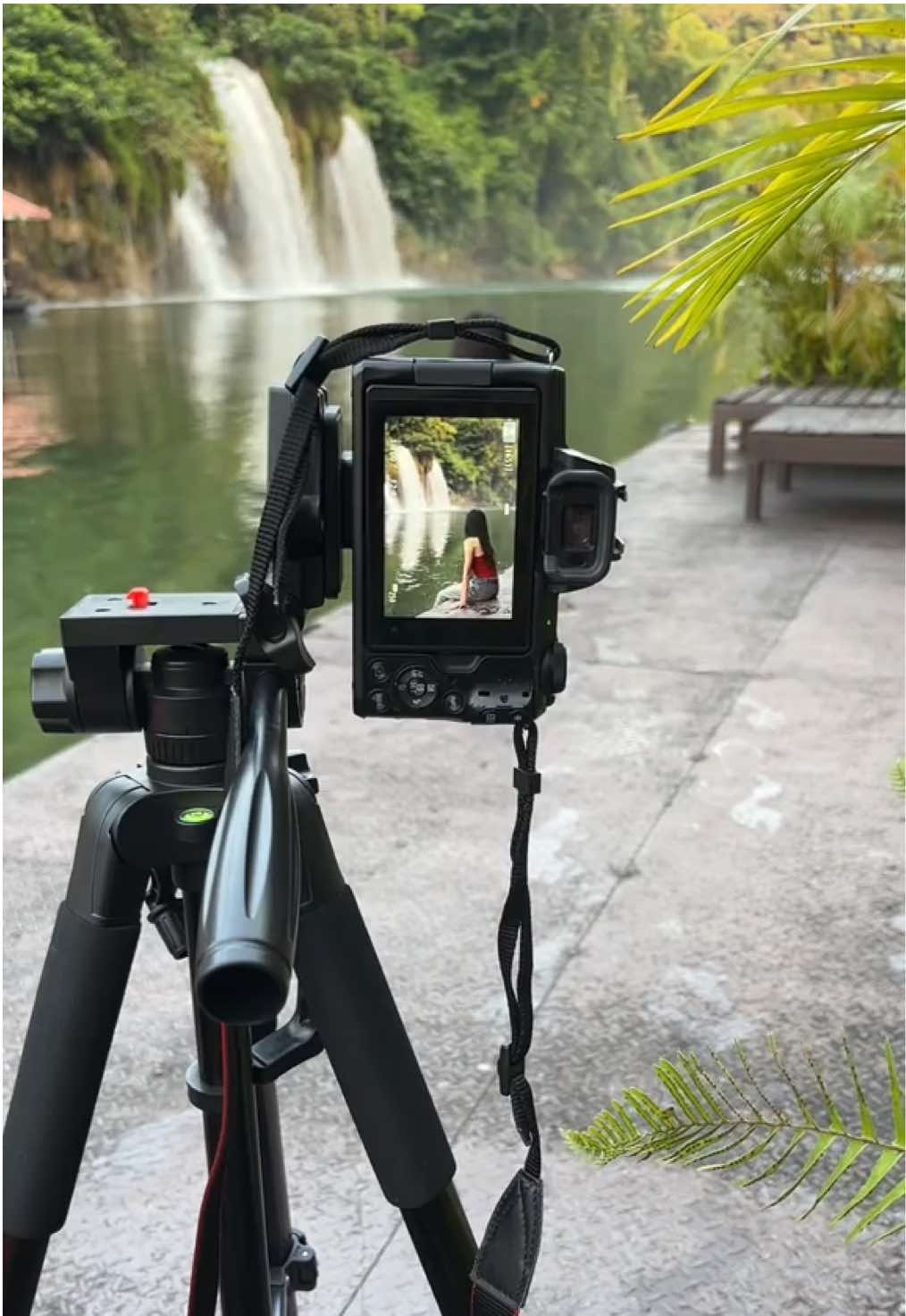 📸✨ ไม่ต้องรอใครให้ถ่ายรูปให้ ก็ถ่ายได้ด้วยตัวเองแค่มีขาตั้งกล้อง 💬 #ขาตั้งกล้อง #ขาตั้งมือถือ #ขาตั้งโทรศัพท์ #ขาตั้งกล้องถ่ายคนเดียว #ขาตั้งกล้องมือถือ #ขาตั้งไลฟ์สด #ขาตั้งกล้องถ่ายรูป #ขาตั้งกล้องมืออาชีพ #บอกต่ออุปกรณ์เสริมสายแก็ดเจ็ต #gadget #นักขายไอที #tiktokป้ายยา 