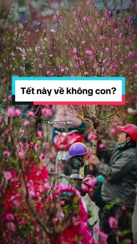 Lần nào mẹ cũng gắng hỏi Tết này về không con? #tetnguyendan2025🧧🎆🧨 #tetdennoiroi #nghitet #xuhuong 