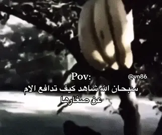 .#خلدوف🇸🇦 