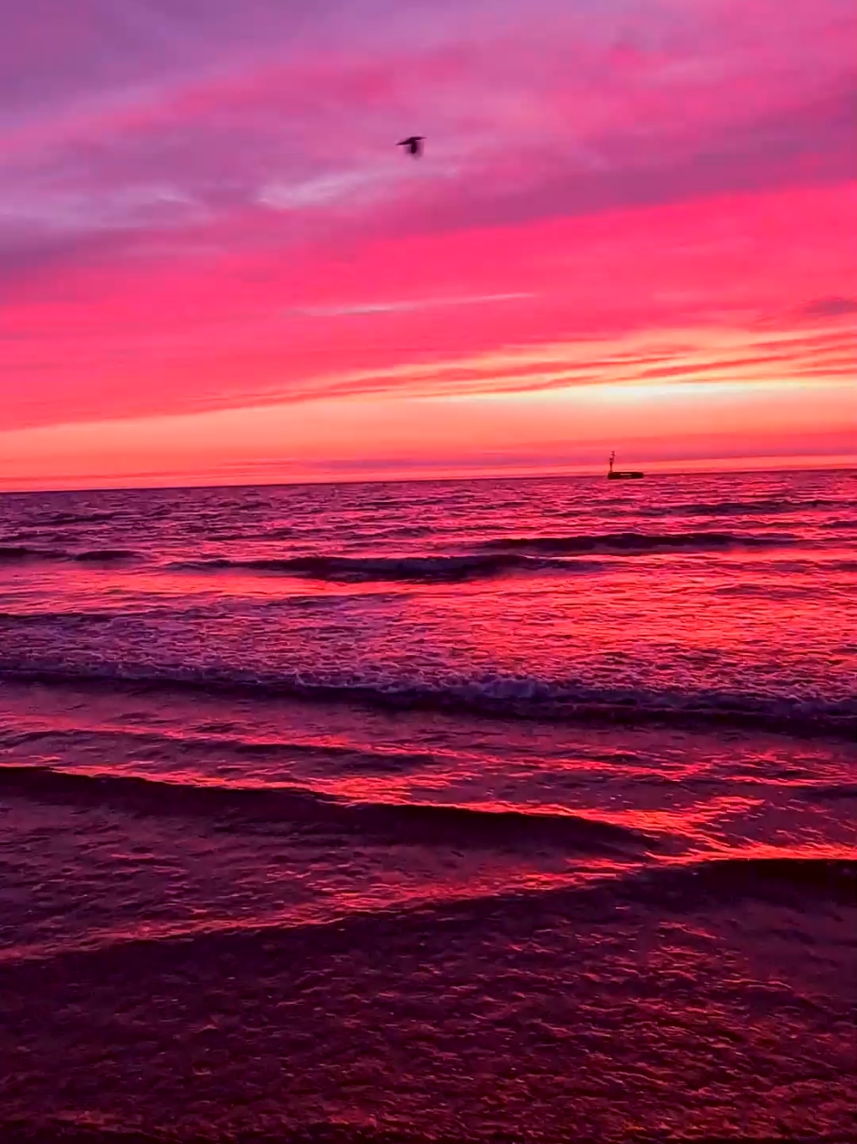 ocean on fire  #pinksunset #pinkskies #pinkocean #sunset #beachvibes #cloudlover #australiantiktok #heapsgood #aussiebeaches 