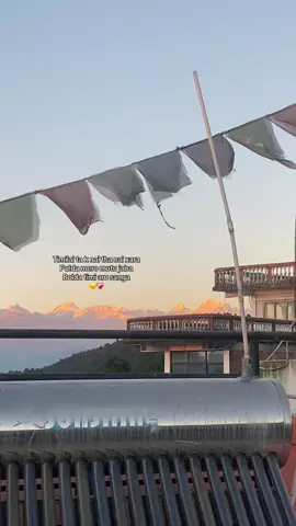 🫠❤️‍🩹#fyp 