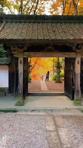 香積寺　今年も後僅かですね#風景 #景色 #japantravel #japantrip #紅葉 #香嵐渓 