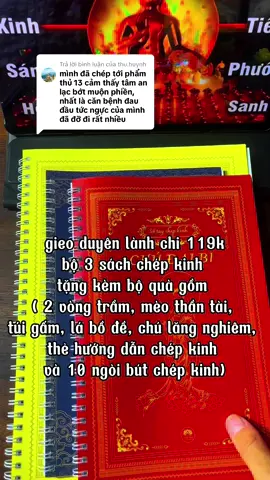 Trả lời @thu.huynh Chép kinh thực sự rất nhiệm màu, làm giảm bớt những cảm xúc tiêu cực, bệnh tật và ốm đau, muộn phiền trong cuộc sống#vansutuyduyen #trending #phatphap #phongthuy #chudaibi #kinhsamhoi #phatphapnhiemmau #kinhdiatang 