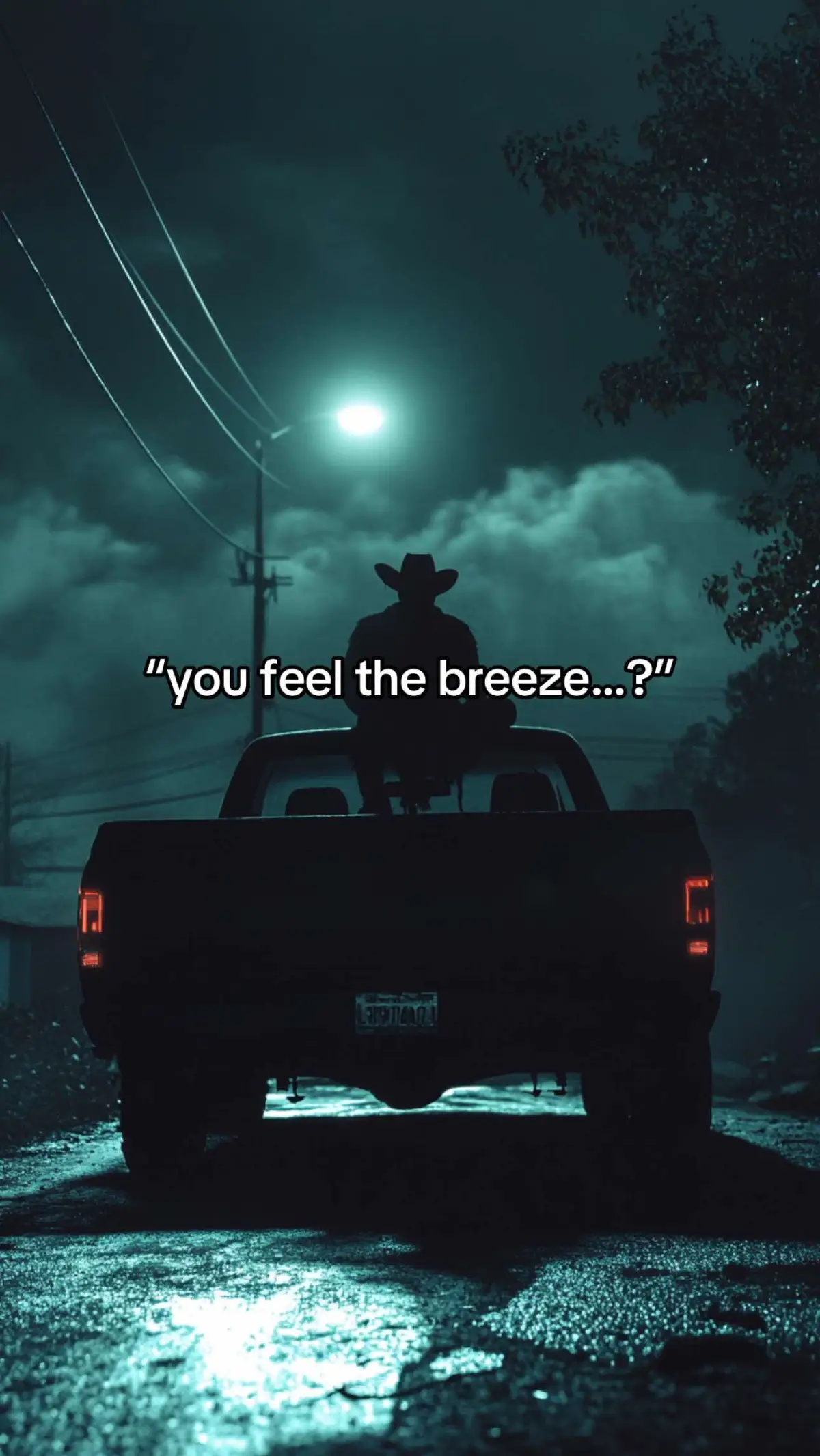 #countrymusic #countrysong #countrytok #country #trucktok 