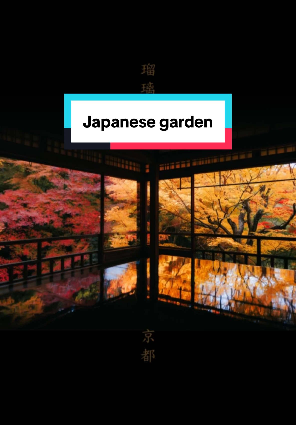 Was it worth it? #photography 