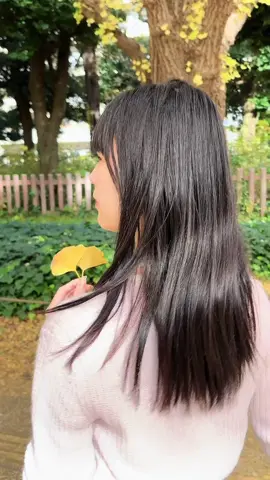 紅葉デート🍁✨ Autumn in Japan💕 #外苑前イチョウ並木#外苑前#彼女感##紅葉#イチョウ並木#黒髪#03#fypシ