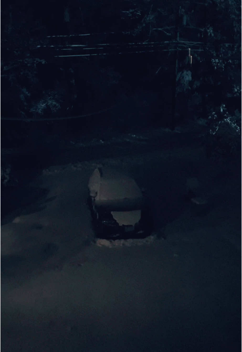 Winter hits Rhode Island and poor Elvira is shivering. #snowday #winter #snow #rhodeisland #newengland 