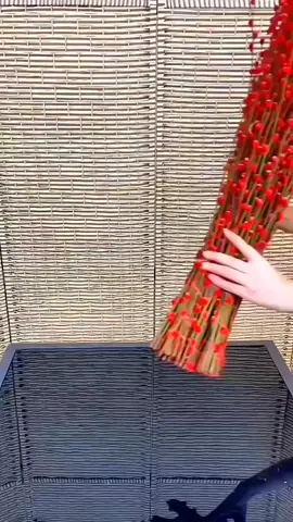 #decor #nammoi #tetnguyendan #trangtritet #hoatrangtri #nutamxuan #trending 
