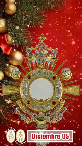 ¡Gracias, gracias,  Señor! #jesus #maria #gracias #santisimo #navidad 