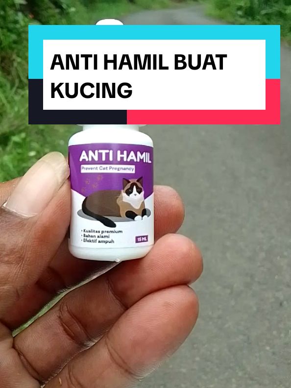 anti hamil buat kucing #antihamilkucing  #cuantanpabatas 
