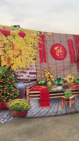 Tranh Vải 3D trang trí Nhanh gọn hoạ tiết đầy đủ chất chơi luôn #xuhuong #tranhvaidecor #tranhdecor  #dienmayquanghoa37 