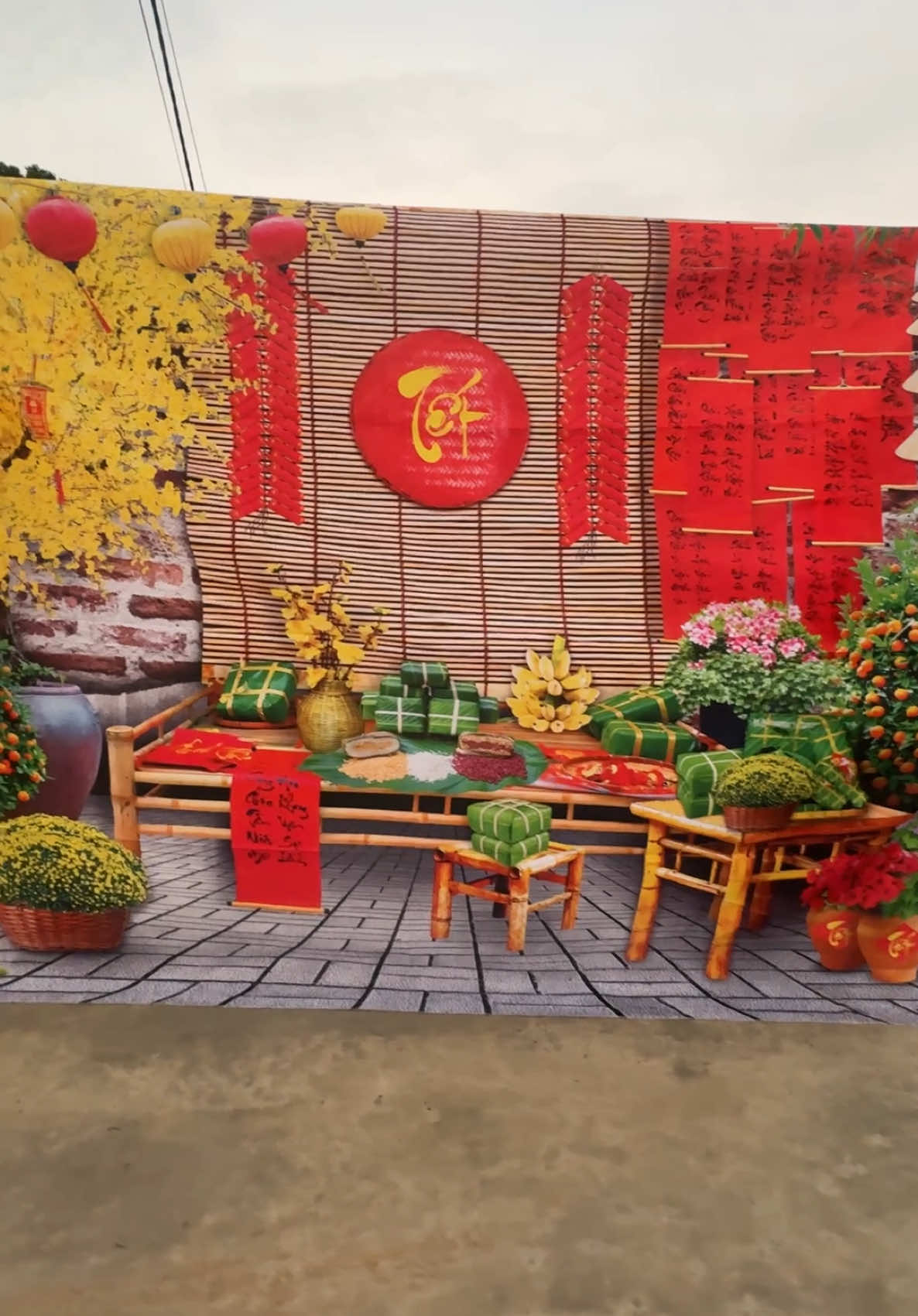 Tranh Vải 3D bền đẹp uy tín #xuhuong #tranhvaidecor #tranhdecor #dienmayquanghoa37 