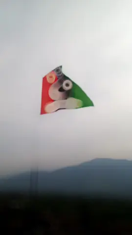 #ujala_abrar #foryoupage #foryoupageofficiall #pakistan #sindh #pakistanpeoplesparty🇱🇾🇱🇾🇱🇾 #fypシ゚ #trending #pppdigitaltiktok #bilawalbhuttozardari #pakistanpeoplesparty #sharjeelinammemon #ppp #bbz 