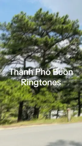 Ringtones music 📲 Thành Phố Buồn Remix #nhacchuongdienthoai #nhacchuonghay #nhacchuongremix #thanhphobuon#trandang4747_ringtones📲 