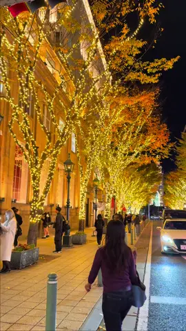 神戸の街っておしゃれ感、すごいよね。上品っていうのかな。😳 #fyp #Kobe #旧居留地 