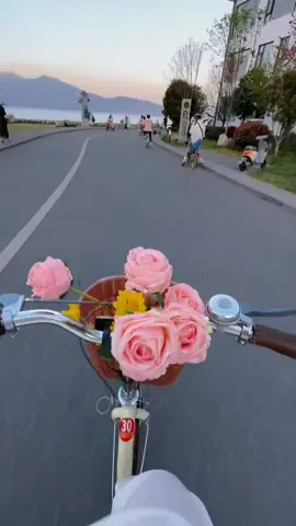 ✨ Dạo bước Hồ Nhĩ Hải - Viên ngọc xanh giữa lòng Đại Lý ✨ Hồ Nhĩ Hải (Erhai Lake) không chỉ là một thắng cảnh thiên nhiên tuyệt đẹp mà còn là điểm đến lý tưởng để trải nghiệm văn hóa và thư giãn. Với làn nước xanh ngọc bích bao quanh bởi những ngọn núi hùng vĩ, đây là nơi lý tưởng để: 🌅 Ngắm bình minh và hoàng hôn: Khung cảnh mặt trời chiếu rọi trên mặt hồ tạo nên một bức tranh nên thơ khó quên. 🚴 Đạp xe quanh hồ: Cung đường ven hồ sẽ đưa bạn qua những ngôi làng cổ kính và cánh đồng hoa ngập tràn sắc màu. 🚤 Thả mình trên thuyền: Cảm giác bồng bềnh giữa làn nước trong vắt và lắng nghe câu chuyện về vùng đất này. 📸 Sống ảo cháy máy: Những góc chụp độc đáo từ cầu gỗ, bãi đá, hay các quán café ven hồ sẽ khiến bạn có loạt ảnh cực chất. Hãy để Hồ Nhĩ Hải mang bạn rời xa sự ồn ào của phố thị và hòa mình vào vẻ đẹp thanh bình nơi đây! 💙 #honhihai #daily #vannam #legiang #shangrila #canhdep #khampha #dulich #trungquoc #dulichtrungquoc #vivuwithmeee #fydong 