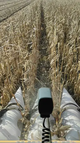15т 🌽