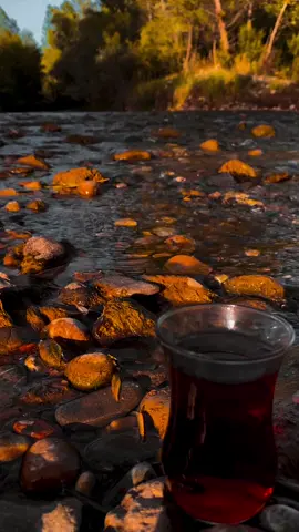 #nature #sonbahar #autumn 