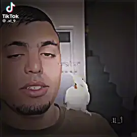 الرابع من رافينيا