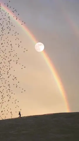 This Fat Loss + Yoga Challenge is going to be amazing! For 8 weeks we will grow together towards a happier and healthier body and mind.  Find more information in my profile🙌🔥 #pouyayoga #fatloss #Fitness 