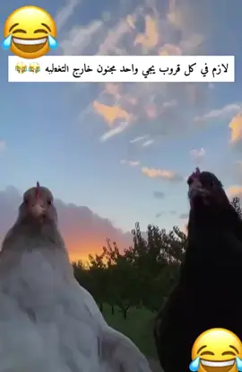 #الشعب_الصيني_ماله_حل😂😂 #اكسبلورexplore #دجاج_عرب #مواقف_مضحكه_جدا #قروب#وناسه_تايم_فرفشة_ضحك_مقالب_  