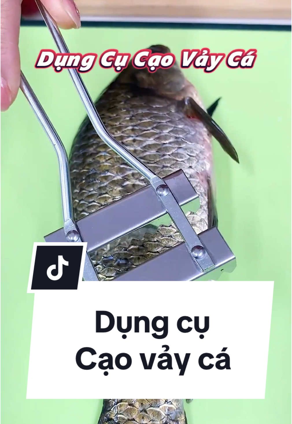 Dụng cụ cạo vảy cá #housecare #runggiadung2 #sanphamxuhuong #xuhuongtiktok #dungcucaovayca 
