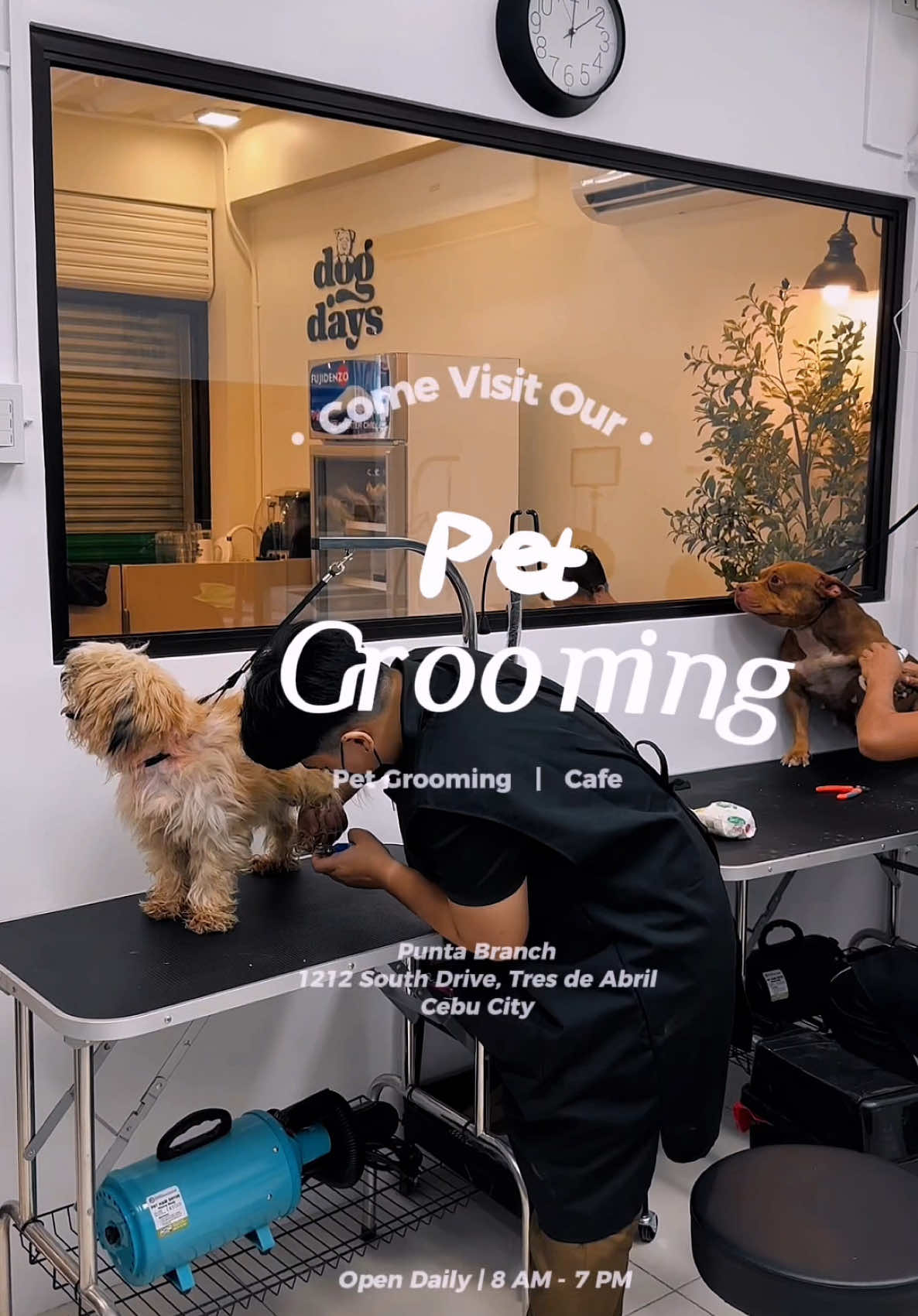 Cebu Pet Parents, did you know that while your pets are enjoying their salon day, you can also pamper yourself with a drink of your choice at our cafe while waiting? Yes, you absolutely can here at Pet Lane.   Visit us today ♥️ #cebudogs #cebucats #cebupetshop 