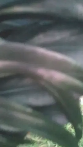 hết biết cái mặt ❤️