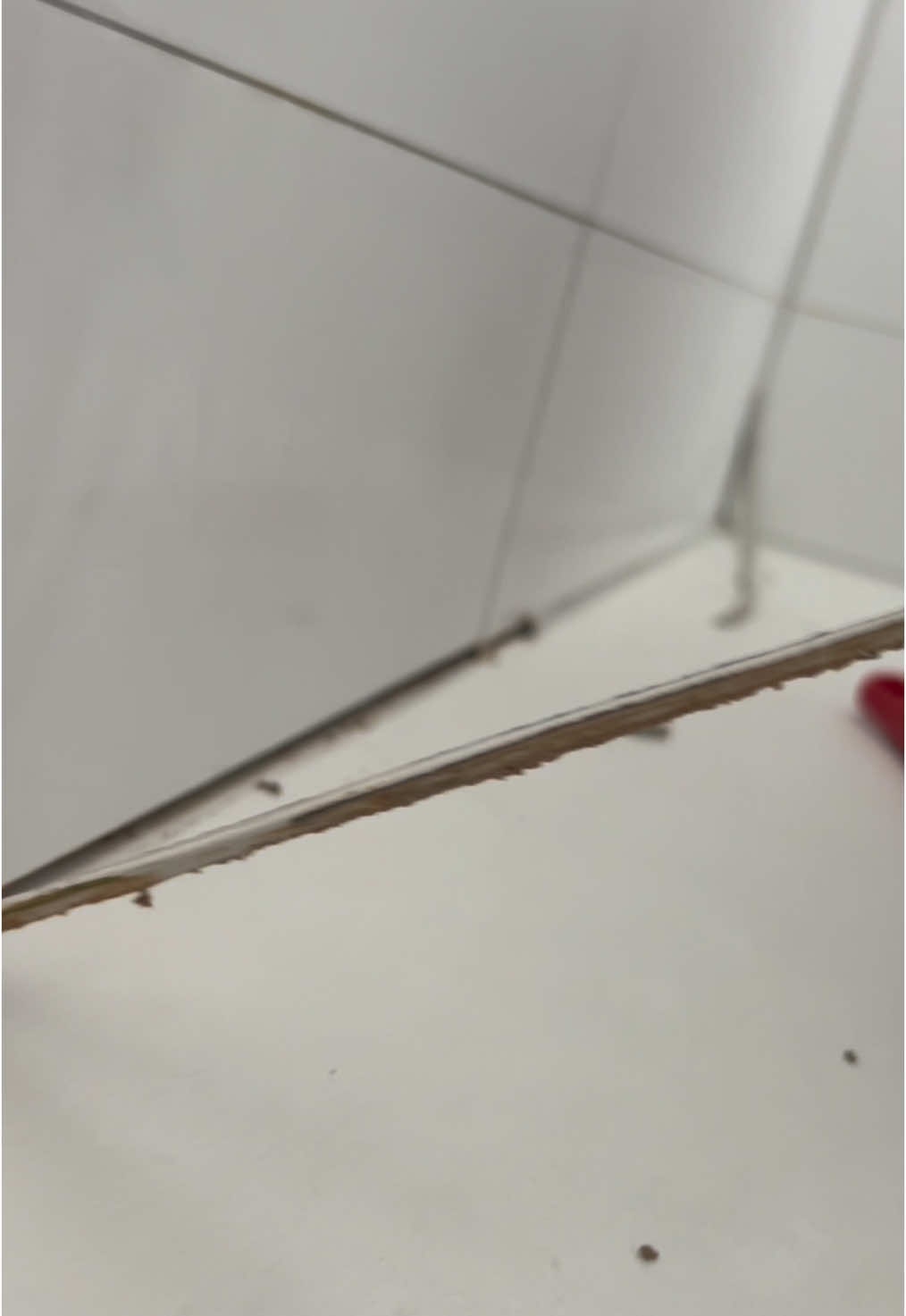 Langlebige Silikonfugen für Duschen: Widerstandsfähig gegen Feuchtigkeit und leicht zu reinigen – ideal für moderne Badezimmer. 💧🛠️ #dusche #handwerk #silikon #arbeit #hygiene #fugentech 